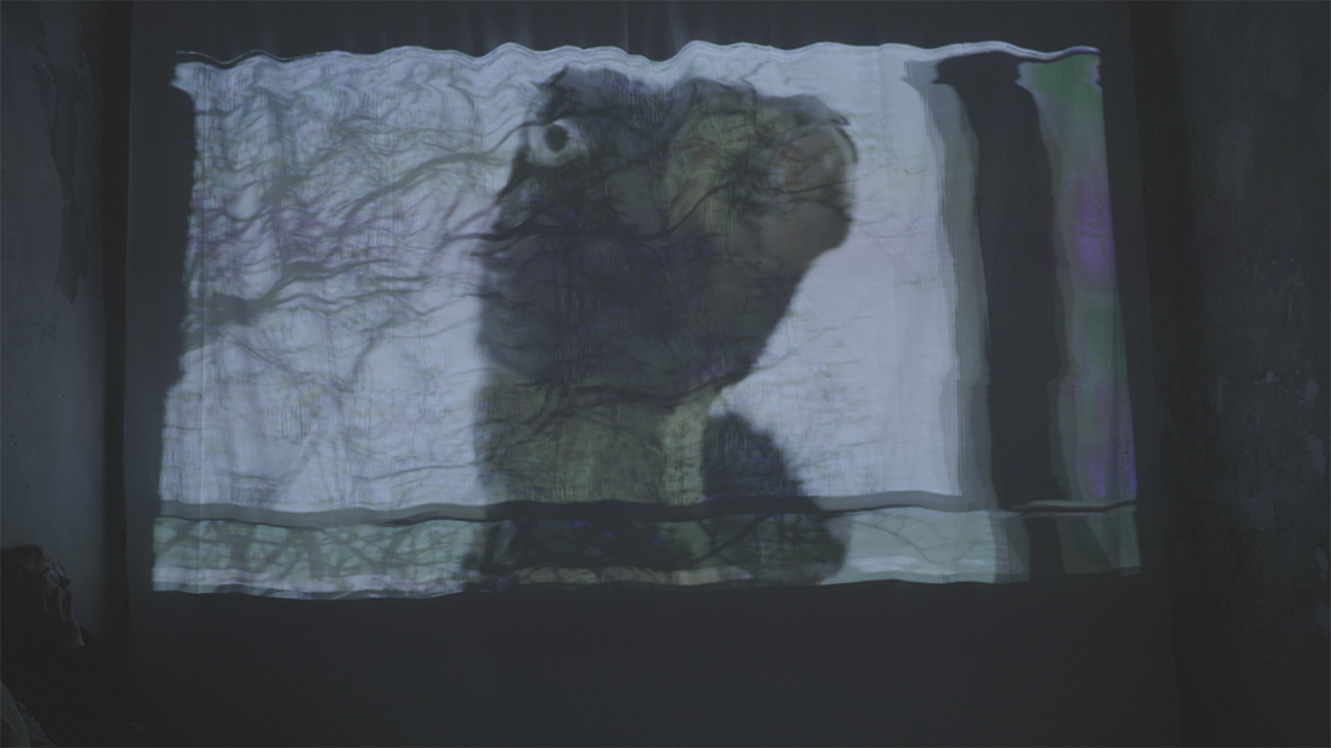 petr&nbsp;laden (&&nbsp;phlorian&nbsp;wagner) - könnten&nbsp;augen&nbsp;sehen&quest; - 02.png