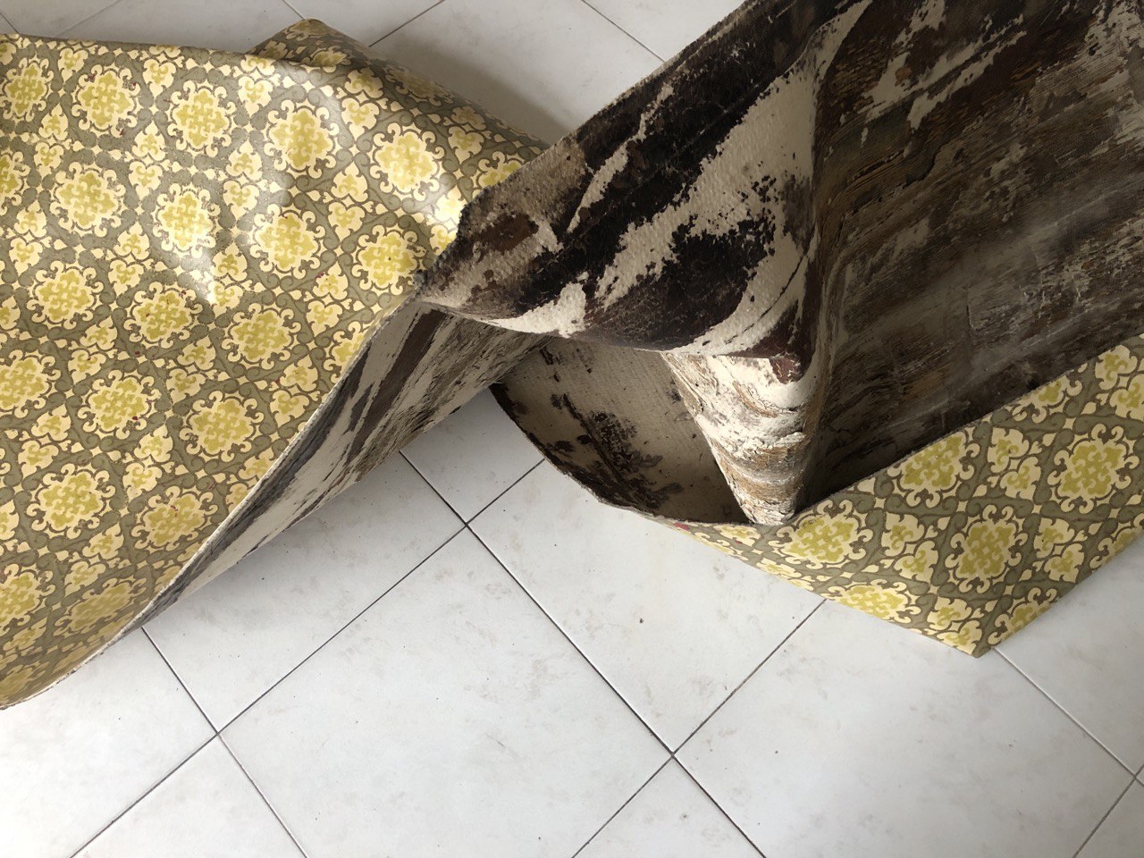 Kollektiv&nbsp;Boden - Wanderer - 04-2026-01-07.jpg