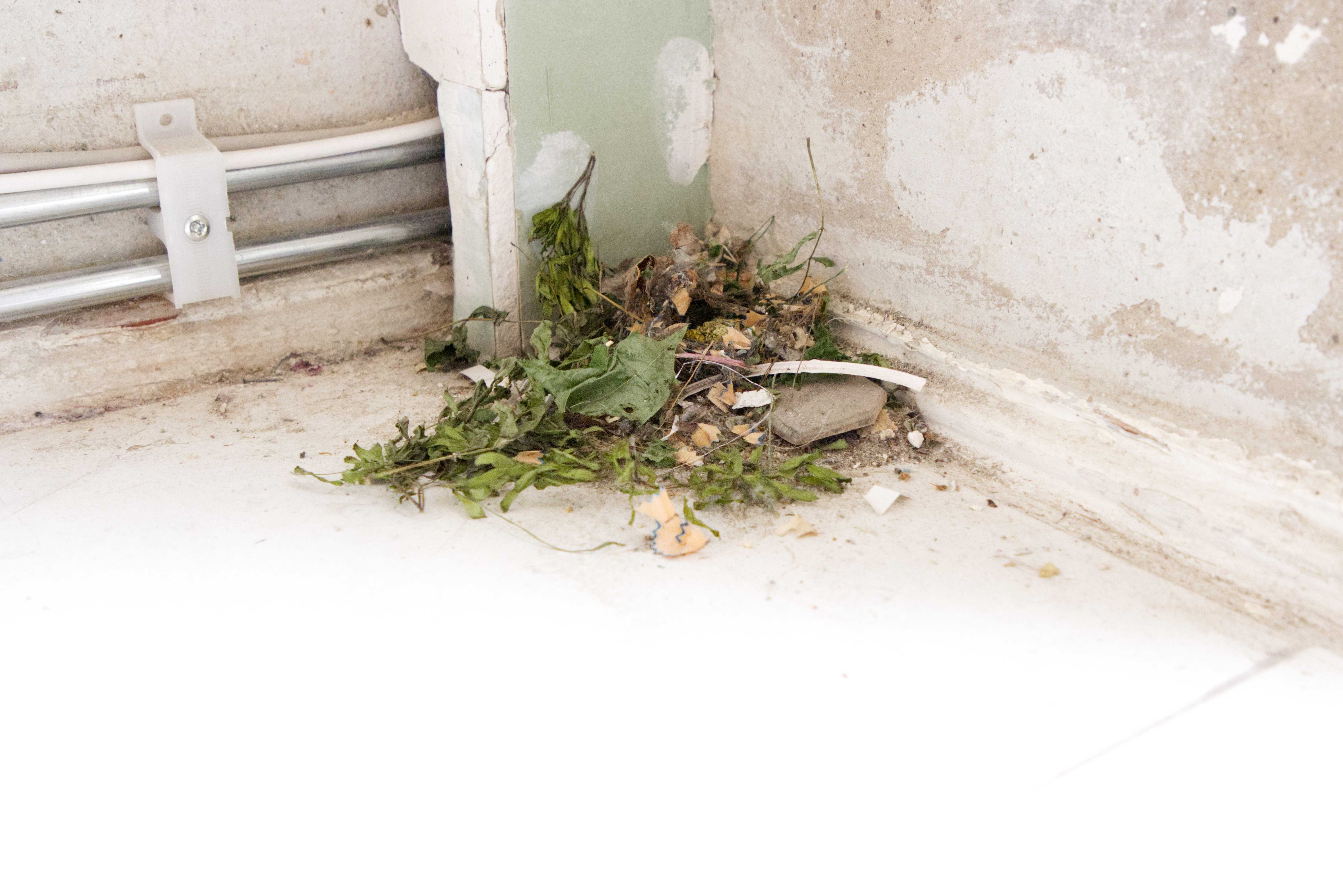 Mattis Heilscher & Pablo Schreyer - Ordnung ist das halbe Leben - 15_p2c_0525_Ordnungistdashalbeleben.jpg